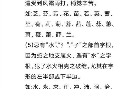 晚上9点出生的属蛇男孩该如何起名，适合用什么字姓名