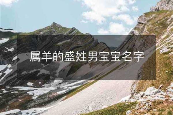 晚上十点出生的属羊男孩如何起名,适合什么字姓名 晚上十点出生的属羊男孩如何起名,适合什么字姓名