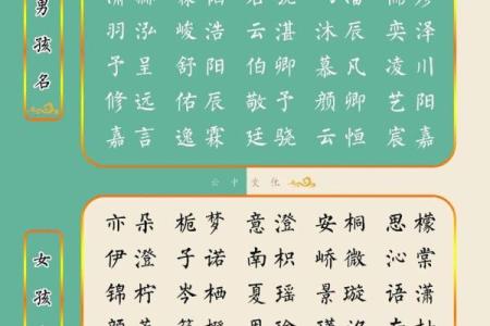 属兔卯时出生的男孩取名宜用什么字姓名