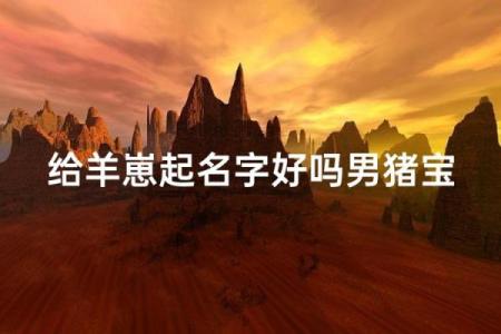 晚上十点出生的属羊男孩如何起名，适合什么字姓名