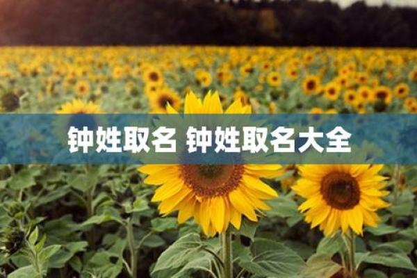 钟姓男孩名字大全-钟姓男孩起名字大全-钟姓名字大全姓名