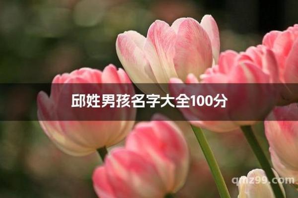 邱姓男孩名字大全-邱姓男孩起名字大全-邱姓名字大全姓名