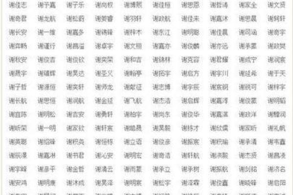 谢姓男孩名字大全-谢姓男孩起名字大全-谢姓名字大全姓名 谢姓男孩名字大全-谢姓男孩起名字大全-谢姓名字大全姓名