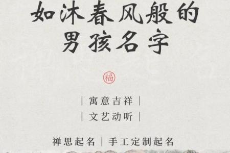 2019年3月18号巳时出生的男孩如何起名姓名