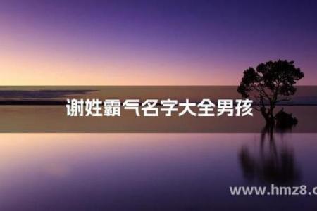 谢姓男孩名字大全-谢姓男孩起名字大全-谢姓名字大全姓名