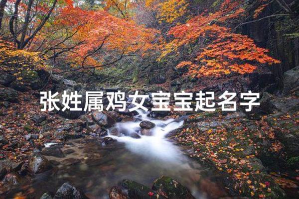 要怎么给早上出生的属鸡男孩取名字姓名 要怎么给早上出生的属鸡男孩取名字姓名