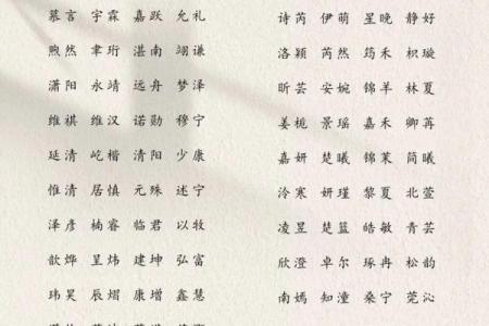 2019年3月21号丑时出生的男孩起名时要注意什么姓名