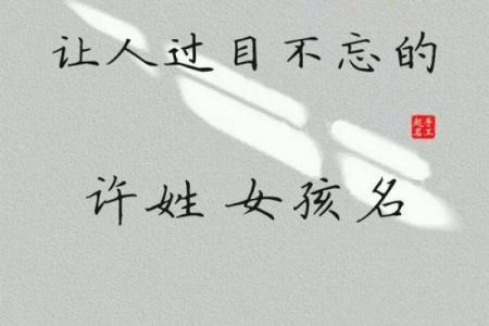 姓许的名人-名人大全-姓名学-华易算命网姓名