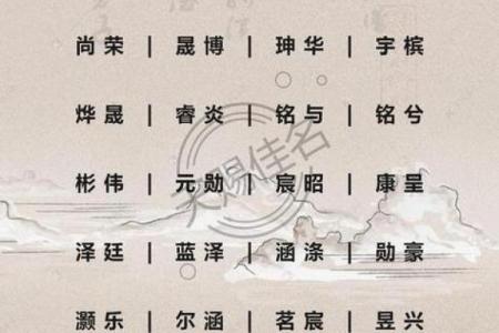 给早上9点出生的属鸡男孩取名字有哪些技巧姓名