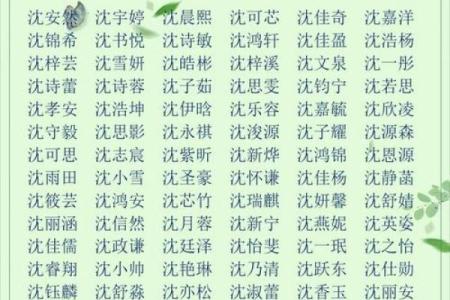 和姓女孩名字大全-和姓女孩起名字大全-和姓名字大全姓名