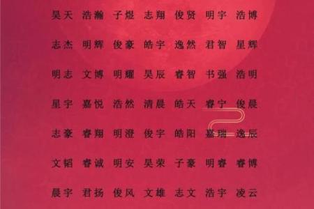 2019年5月13号卯时出生的男孩应该起什么样的名字姓名