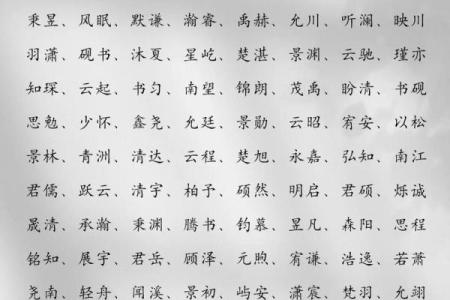 狄姓男孩名字大全-狄姓男孩起名字大全-狄姓名字大全姓名
